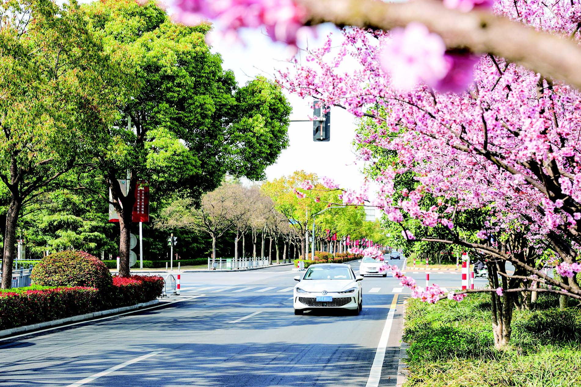 松江主机报回路开路