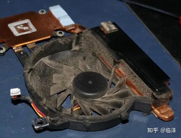 虫子爬电脑主机里会烧电脑吗