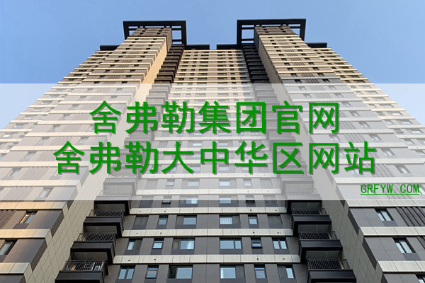 舍弗勒配套主机厂