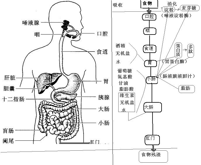 屏蔽主机网关由什么和什么组成