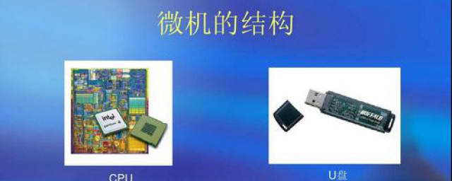 通常说微型计算机的主机包括