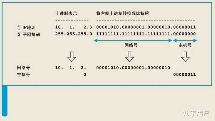 电话和主机号和分机号