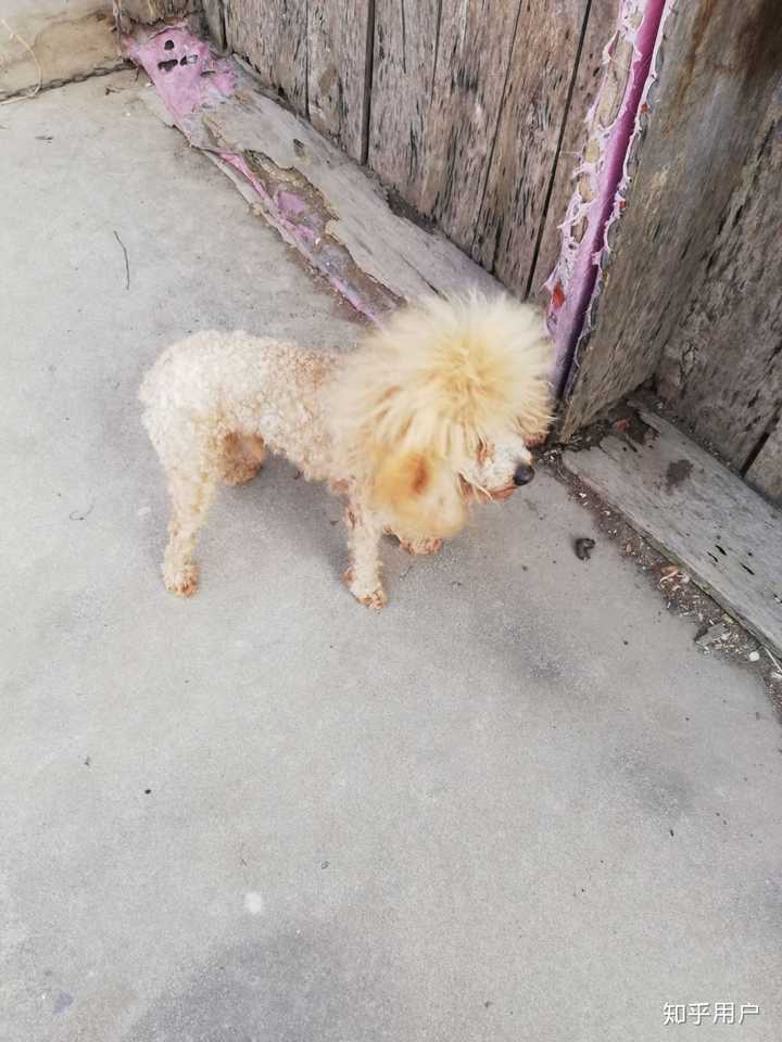 主机骂键鼠狗