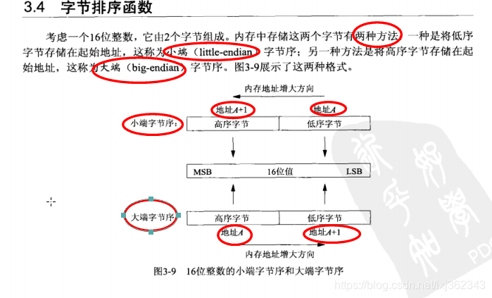 小端主机序