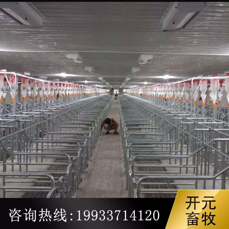 猪场料线主机哪里生产厂家