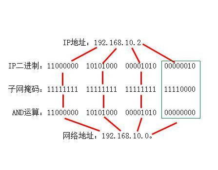 主机号与子网掩码