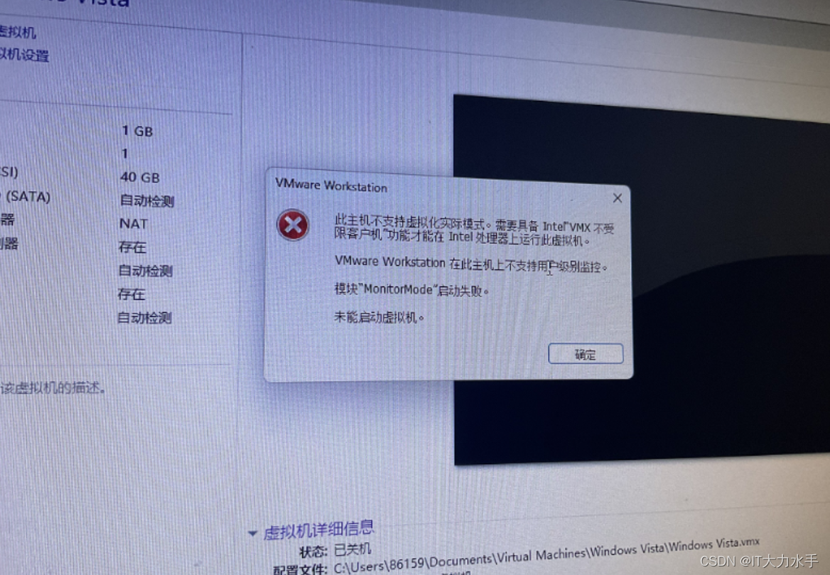 只开虚拟机不开主机吗