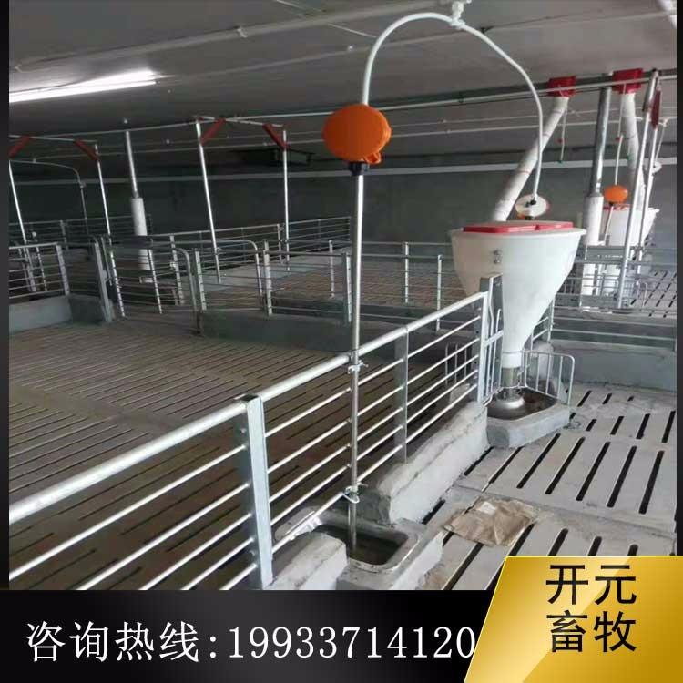 猪场料线主机哪里生产厂家