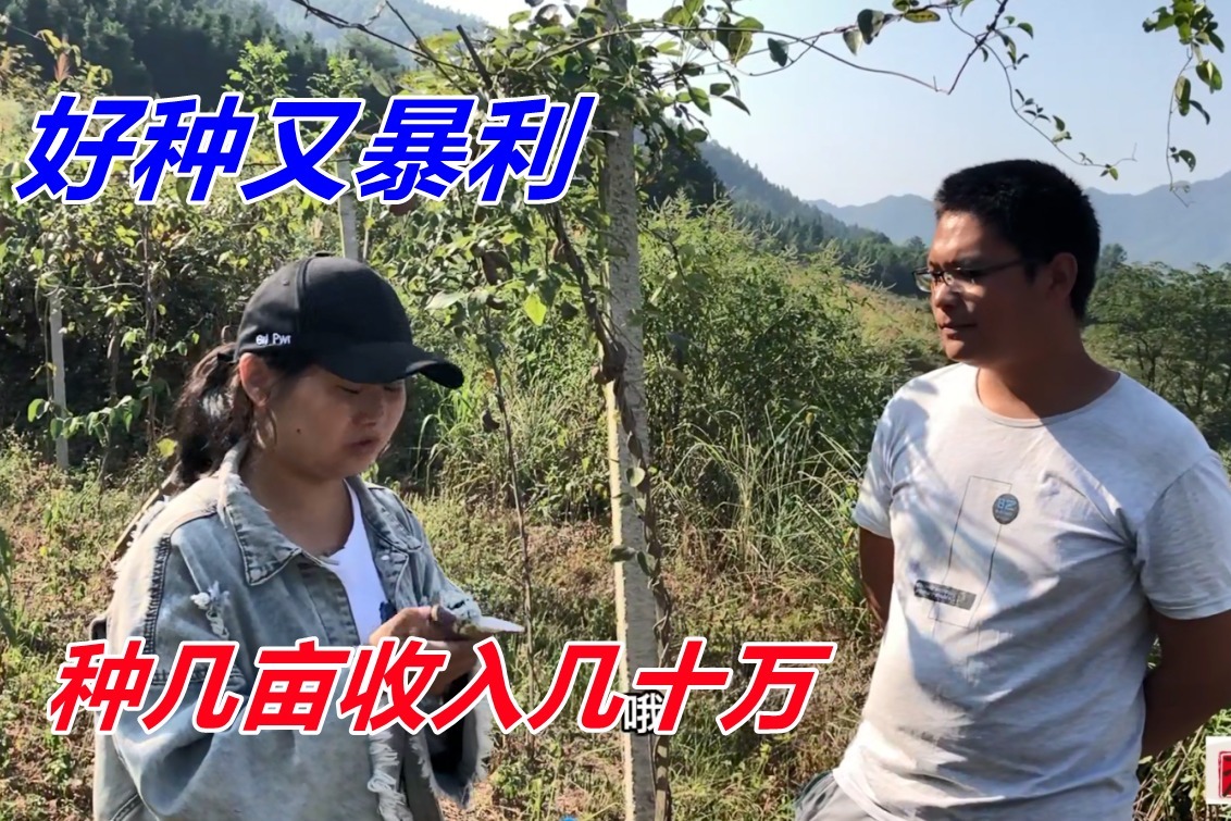 二斤和她的主机涨价了么