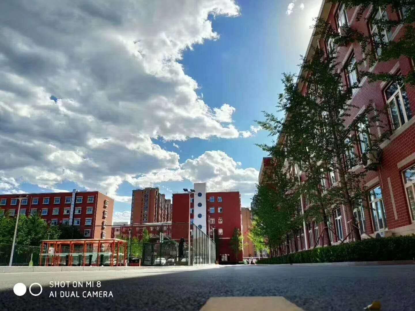 北大青鸟主机设备删除