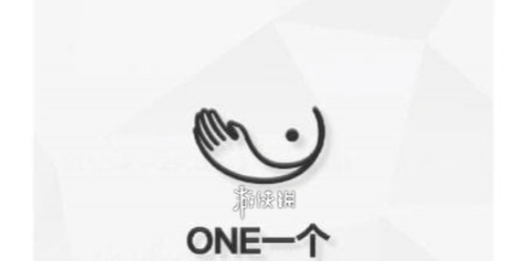 一个主机两个固态盘