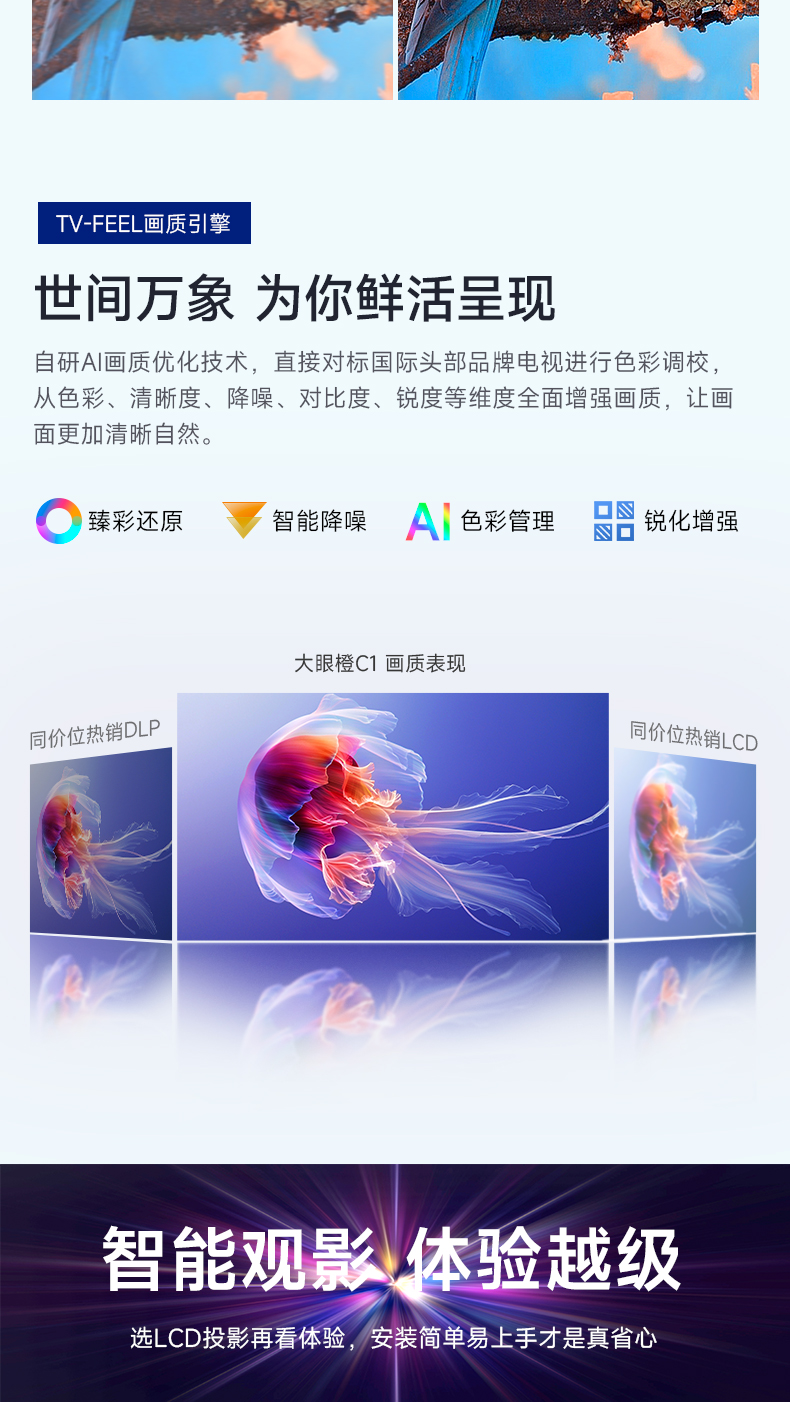 第一主机美橙