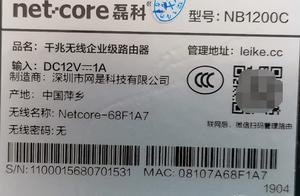 磊科主机带宽控制
