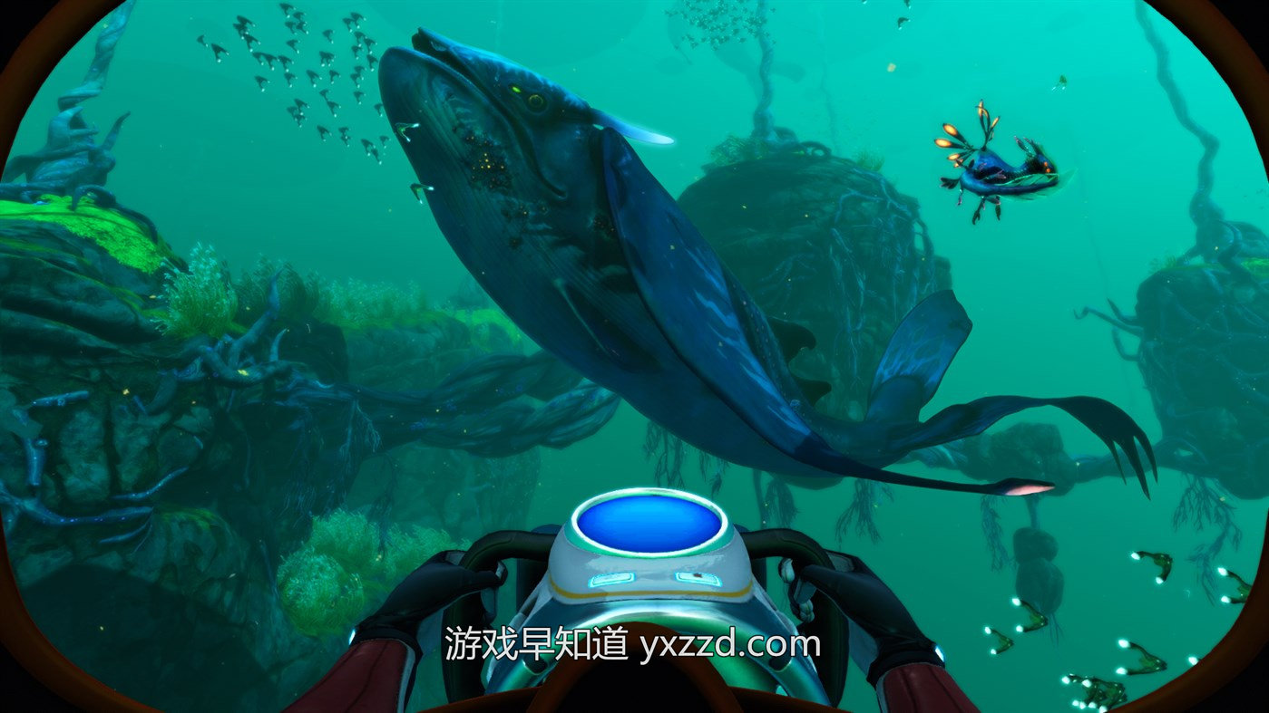 深海迷航主机在哪买