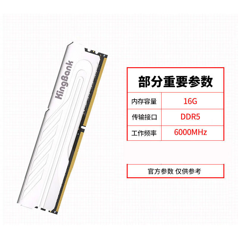 主机内存条在实体店多少钱