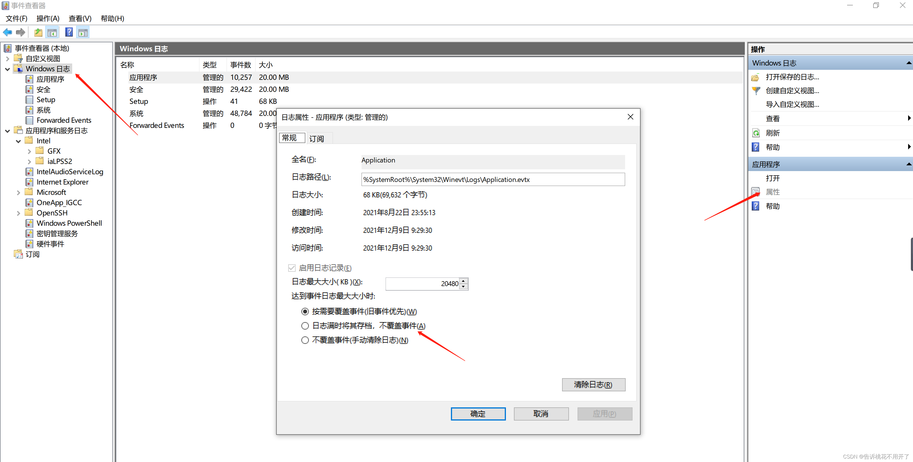 当前解析主机