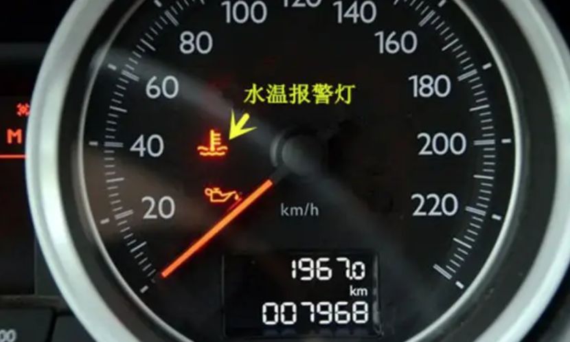 网线插到主机灯亮几个
