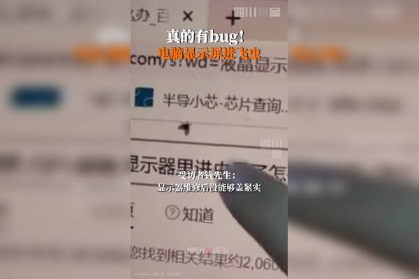 电脑主机有虫子