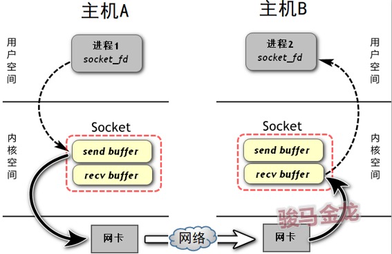 套接字是由进程所在的主机的