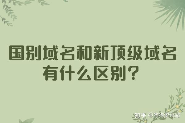 主机域名最高域是