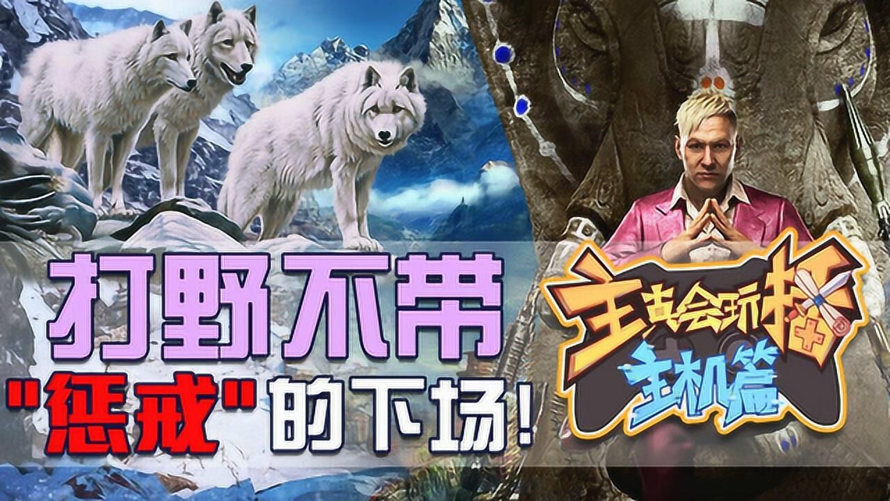 主播真会玩主机篇没更新